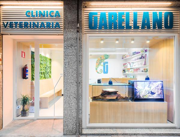 Las mejores Veterinarias en Bugaba 1 Veterinarias en Bugaba: Encuentra las Mejores Clínicas