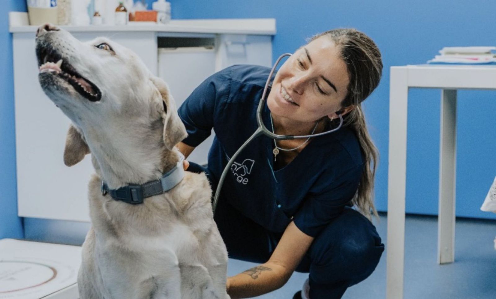 Veterinarias en Tocumen: Atención de Calidad para tu Mascota