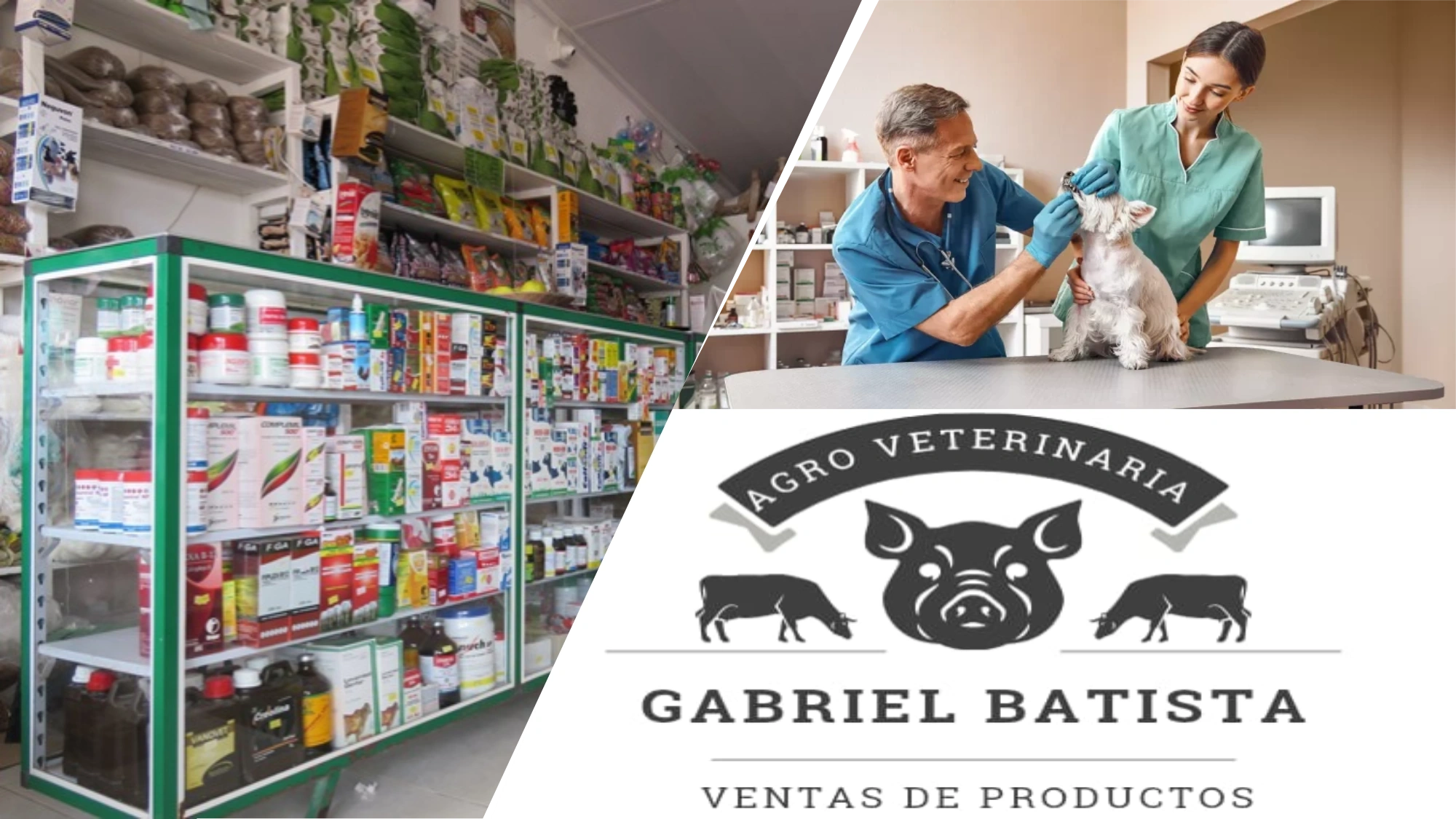 Opinión de Agroveterinaria Panamá 1 Opinión Agroveterinaria Panamá: Reseñas y Experiencias Reales