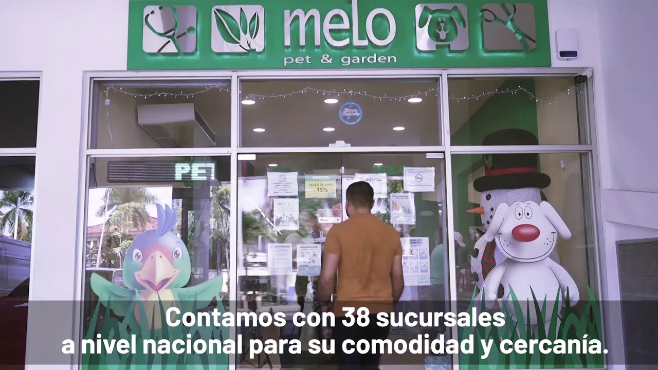 Opinión de Melo Pet & Garden | Santiago 1 Opinión de Melo Pet & Garden en Santiago: reseña y experiencia