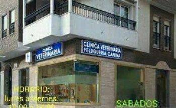 Opinión Clínica Veterinaria Animal’s: Experiencia y Servicios para tu Mascota