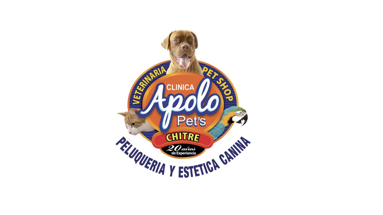 Opinión del Hospital Veterinario Apolo Pets: Experiencia Real