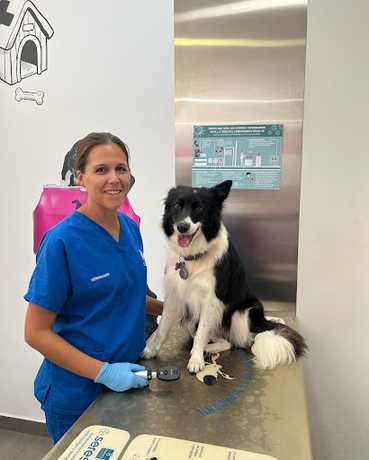 Opinión de Clínica Veterinaria Dr. Calderon – Atención y Servicios 2024