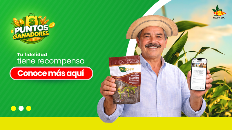 Opinión de Melo & Cia. Puerto Armuelles 1 Opinión de Melo & Cia Puerto Armuelles – Análisis y reseña actualizada