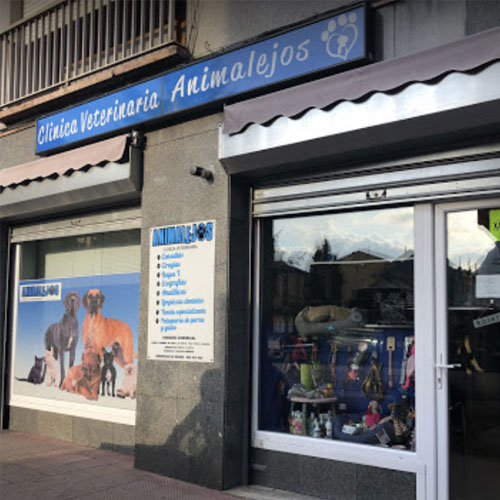 Las Mejores Veterinarias en Boquerón – Guía 2024