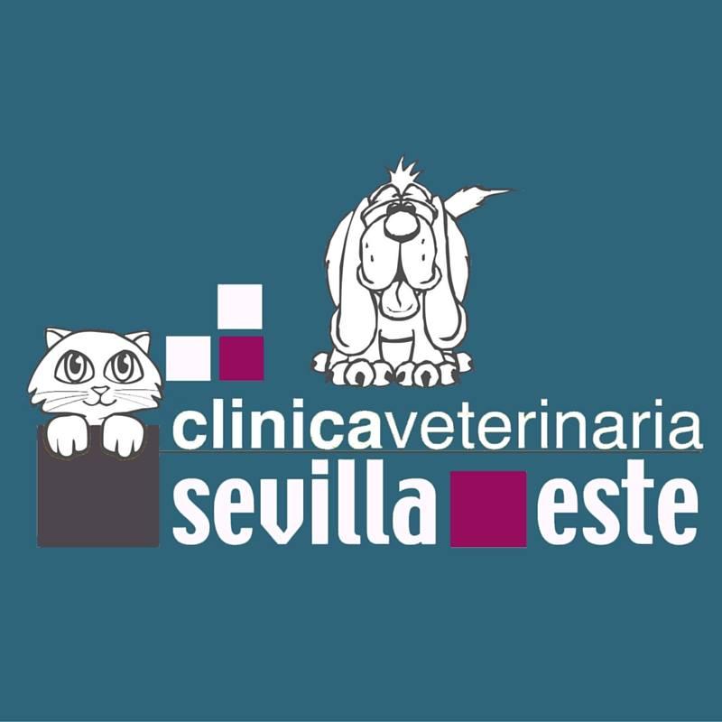 Opinión Clínica Veterinaria Del Este: Experiencia y Atención Animal