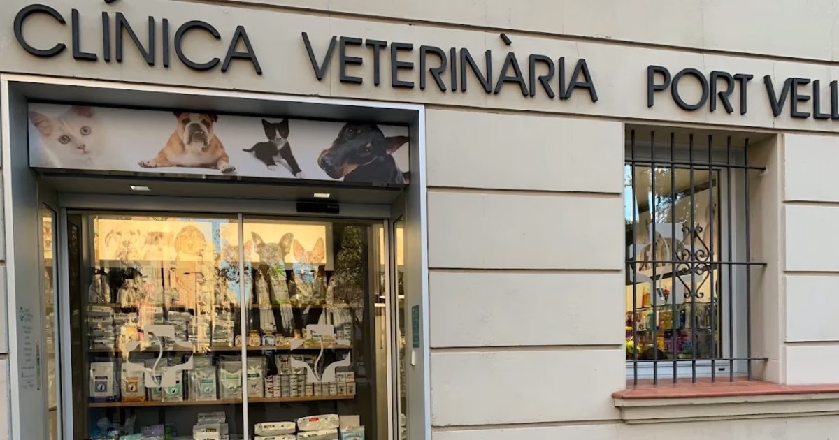 Las mejores Veterinarias en Portobelo 1 Veterinarias en Portobelo: Las 5 Mejores Opciones Locales
