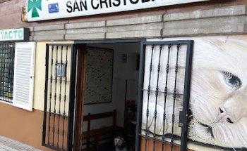 Las Mejores Veterinarias en Cristóbal: Guía 2024