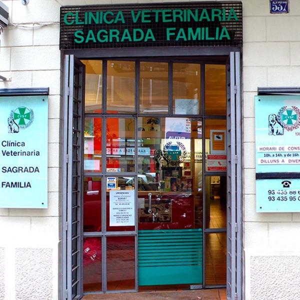 Las Mejores Veterinarias en Gatún: Servicios y Precios Actualizados