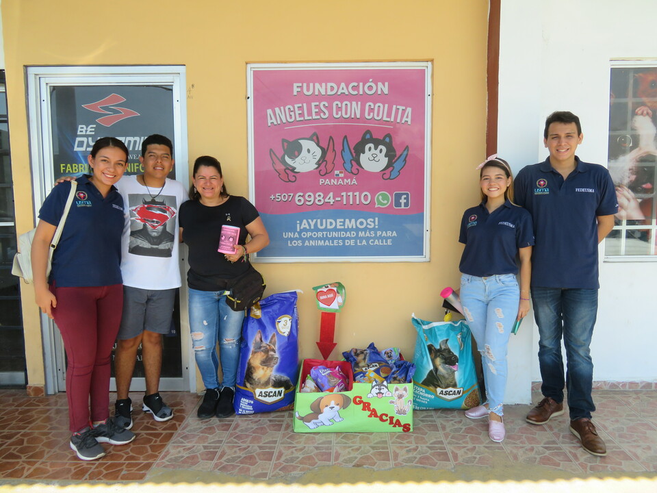 Opinión de Fundacion Angeles Con Colitas 1 Opinión Fundación Ángeles con Colitas: Rescate y Adopción de Mascotas