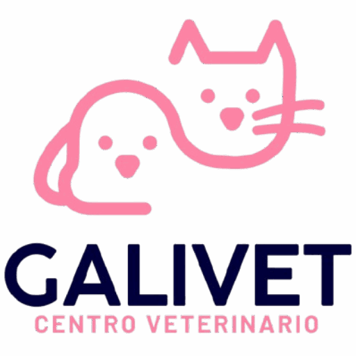 Las Mejores Veterinarias en Los Pozos – Guía Actualizada 2024