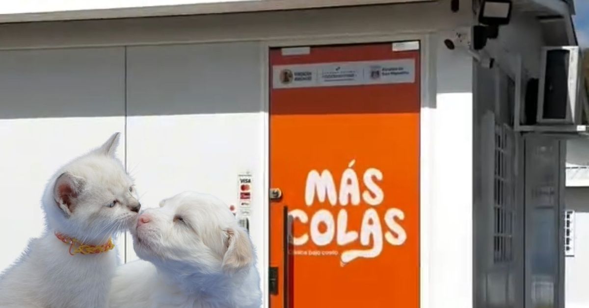 Opinión de Clinica Veterinaria Panamá Este 1 Opinión Clínica Veterinaria Panamá Este: Reseñas y Servicios