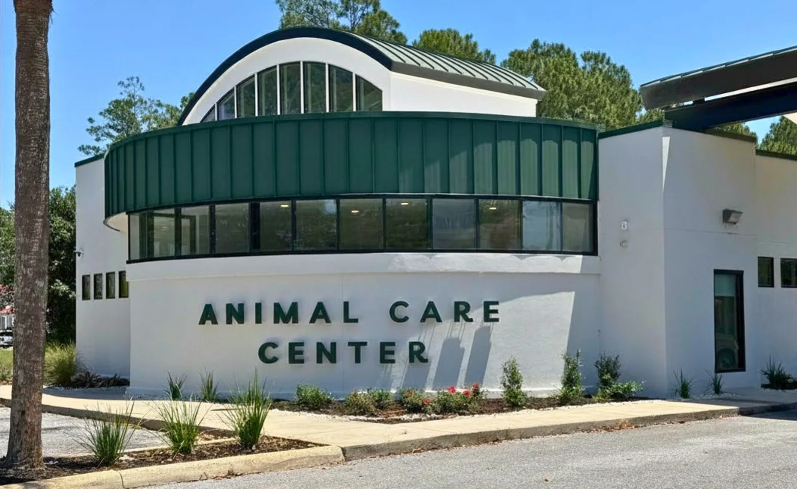 Opinión de Panama Animal Welfare Clinic (PAW Clinic) 1 Opinión de Panama Animal Welfare Clinic (PAW Clinic) – Reseña y Experiencia