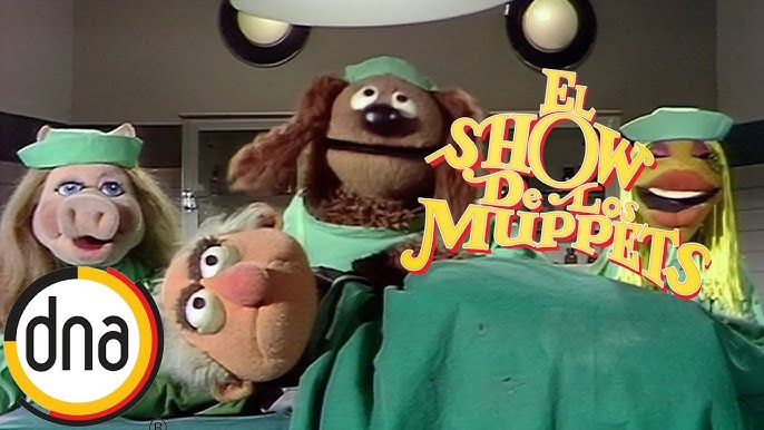 Opinión de Clínica Veterinaria Muppets 1 Opinión Clínica Veterinaria Muppets: Reseñas y Experiencias Reales