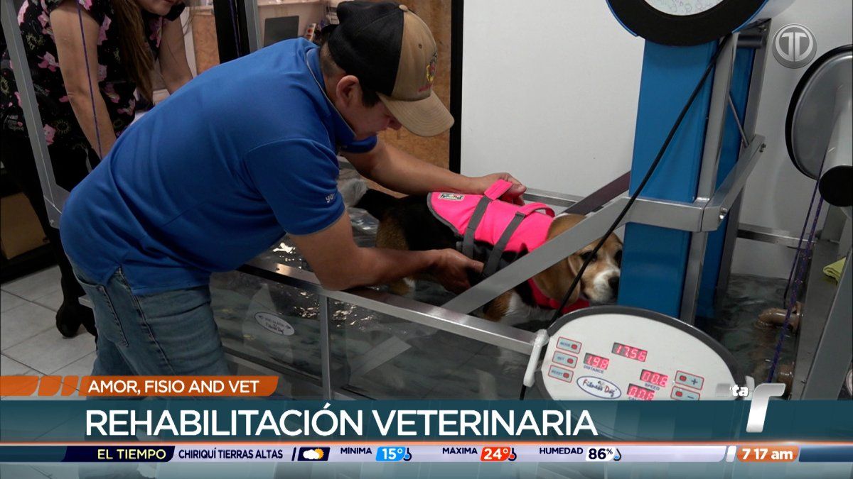 Opinión de Clínica de Medicina y Rehabilitación Veterinaria Amorfisioandvet 1 Opinión Clínica Veterinaria Amorfisioandvet: Medicina y Rehabilitación