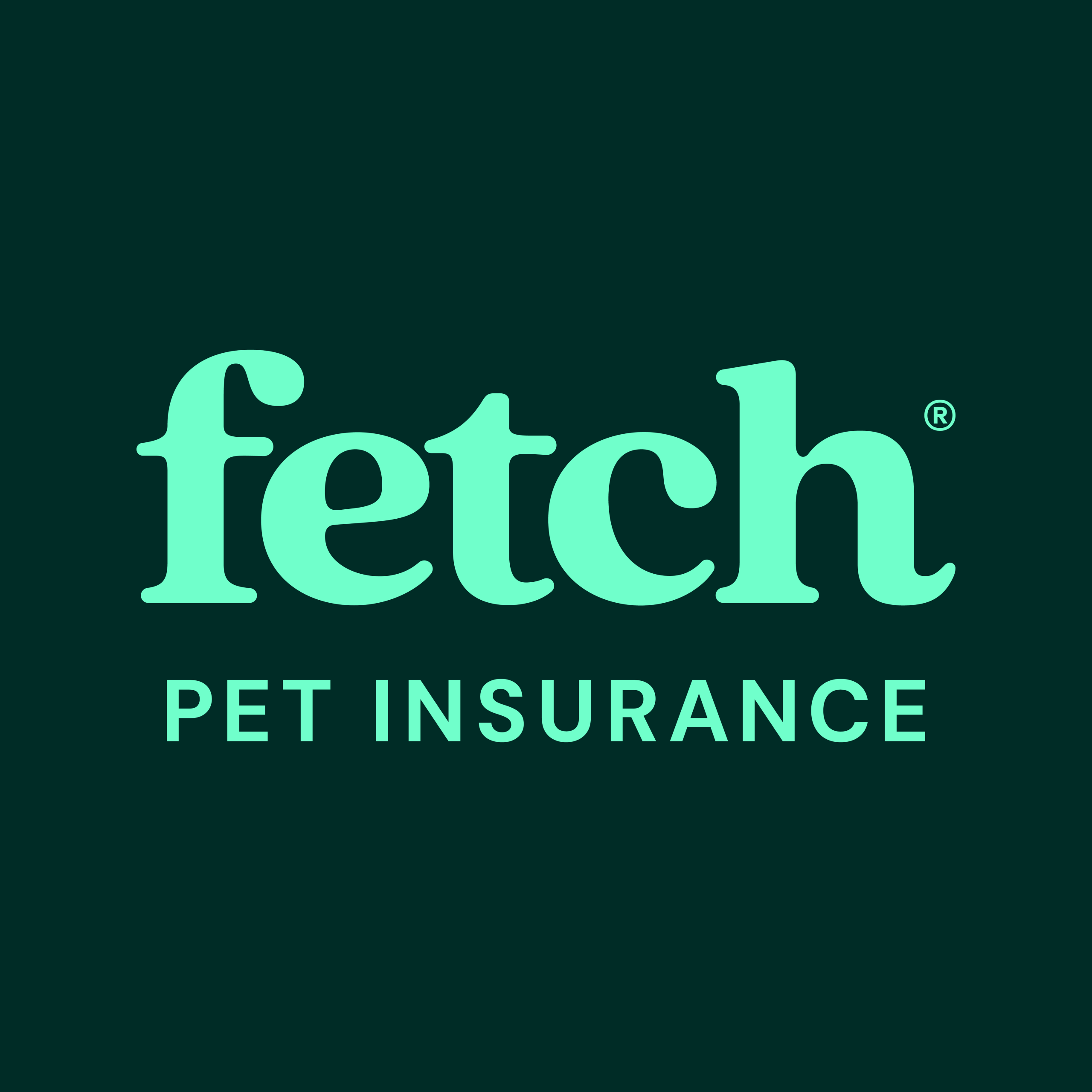 Opinión de Fetch Pet Place 1 Opinión Fetch Pet Place: Reseña Real y Opiniones de Clientes 2024