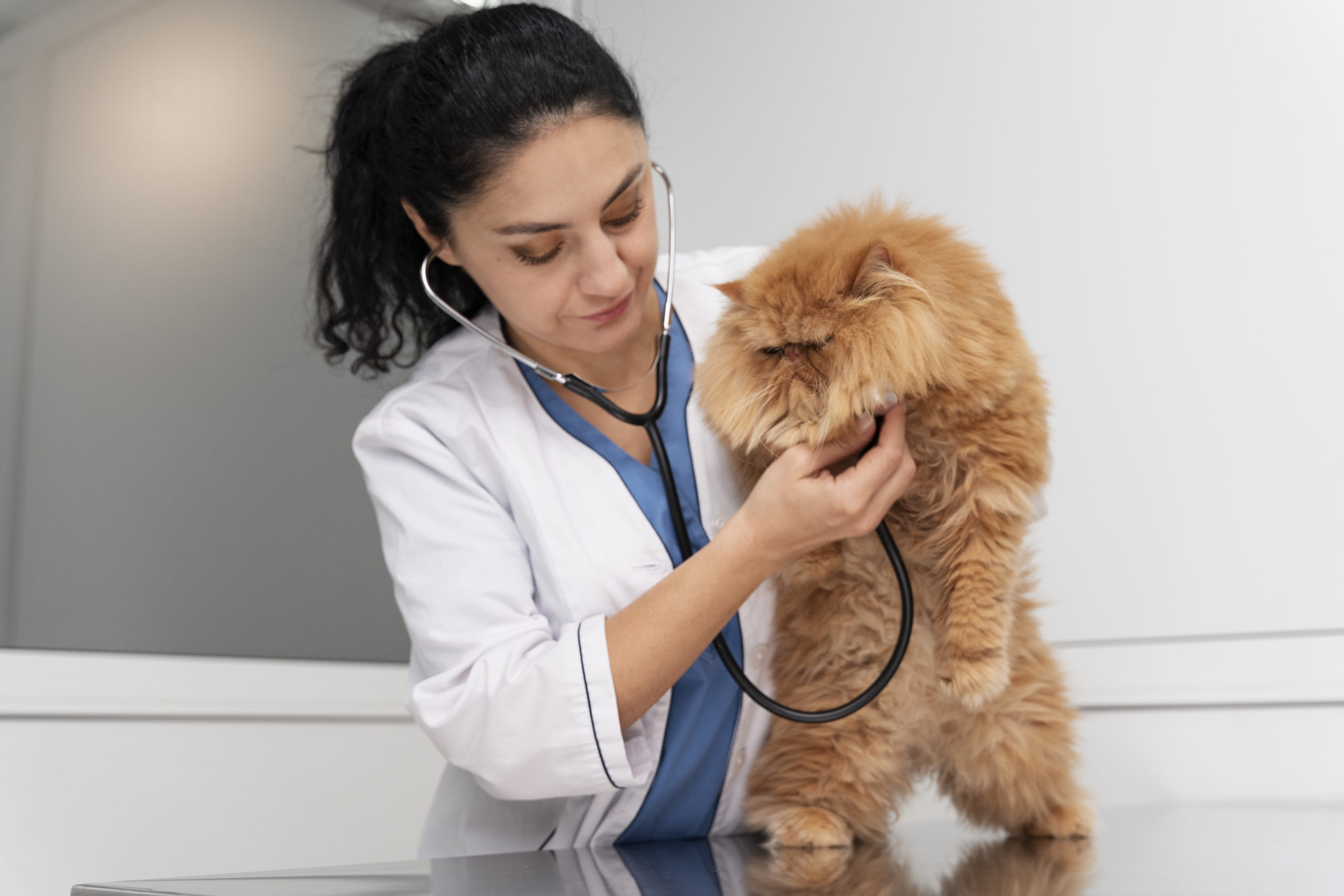Opinión de Clínica Veterinaria Just Pets: Reseña y Experiencia de Clientes