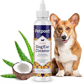Opinión Pet Care & Control Services (PCCS): Reseña y Experiencia