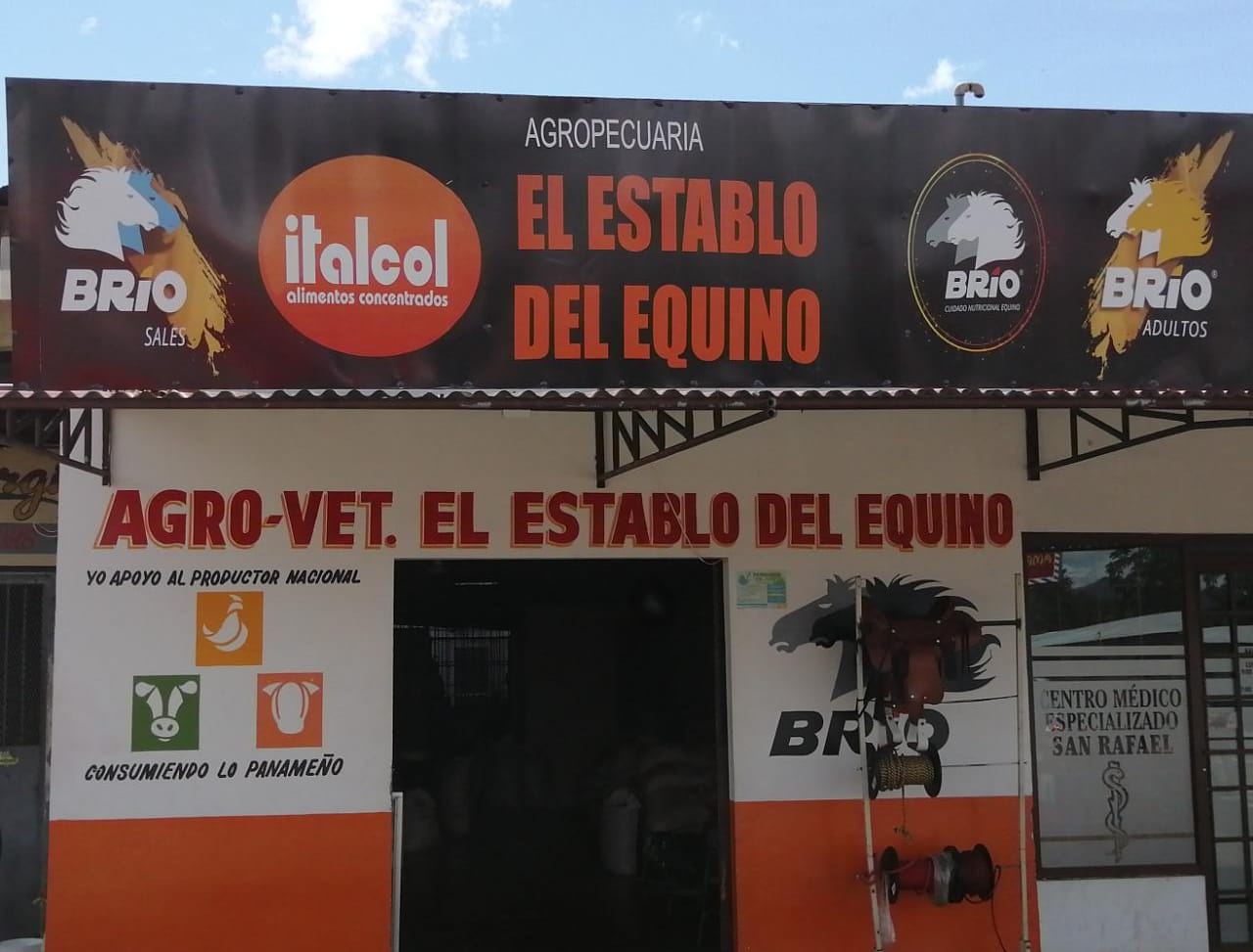 Opinión de Agro-Vet. El Establo del Equino 1 Opinión de Agro-Vet: El Establo del Equino – Cuidados y Consejos