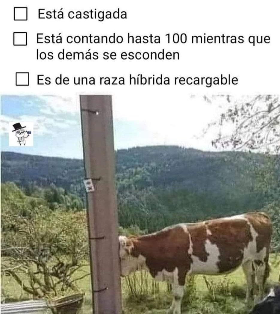 Opinión de La vaca 1 Opinión de la vaca: Reseña y análisis completo
