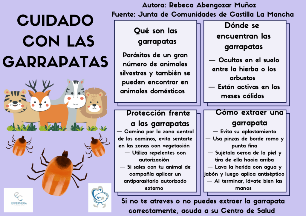 Opinión de La Garrapata: Análisis SEO y Estrategias Efectivas