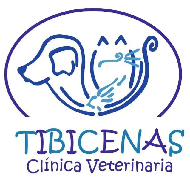 Las mejores Veterinarias en Las Palmas 1 Las Mejores Veterinarias en Las Palmas – Guía Actualizada 2024