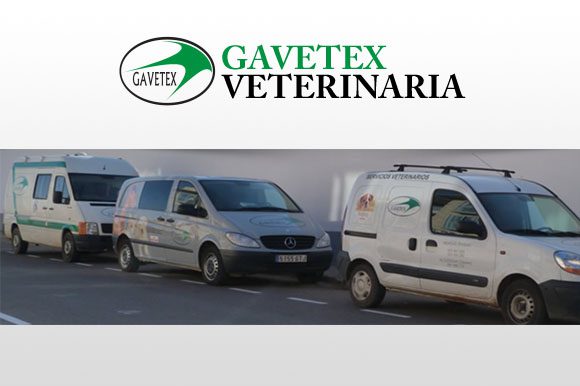 Las Mejores Clínicas Veterinarias en Montijo - Expertos en Cuidado Animal