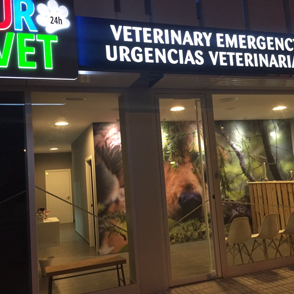 Las mejores Veterinarias en Río de Jesús 1 Las Mejores Veterinarias en Río de Jesús – Guía 2024