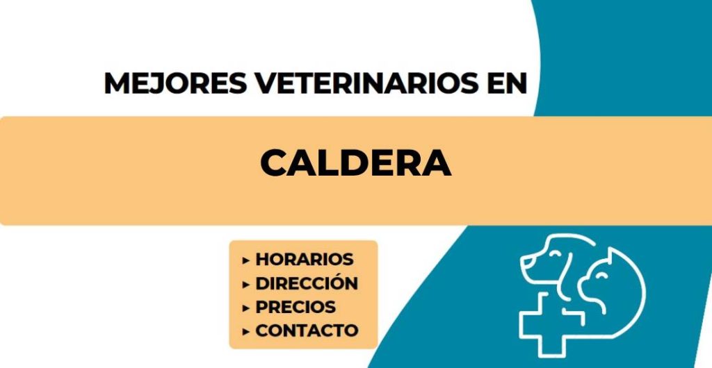 Las mejores Veterinarias en Caldera 1 Veterinarias en Caldera: Las Mejores Clínicas y Servicios