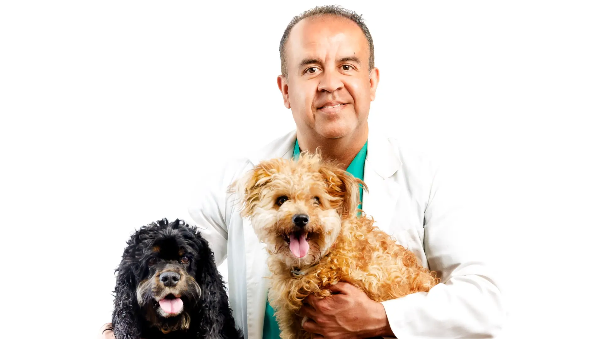 Opinión de CLINICA VETERINARIA DR GUTIERREZ 1 Opinión de la Clínica Veterinaria Dr. Gutiérrez: Experiencia y Atención