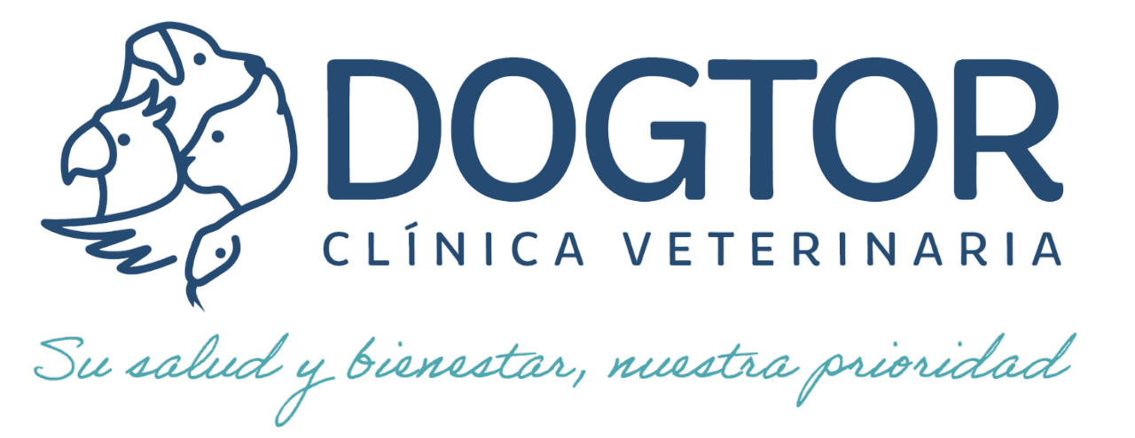 Opinión de Clinica Dogtor Vet Panama 1 Opinión de Clínica Dogtor Vet Panamá: Reseña Real de Clientes