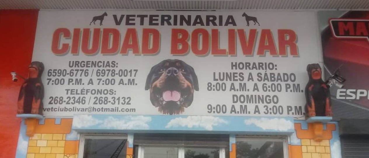 Opinión de Clínica Veterinaria Ciudad Bolivar- Atención Veterinaria en Panamá Norte 1 Opinión de Clínica Veterinaria Ciudad Bolivar Panamá Norte