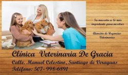 Las Mejores Veterinarias en Santiago de Veraguas – Guía 2024