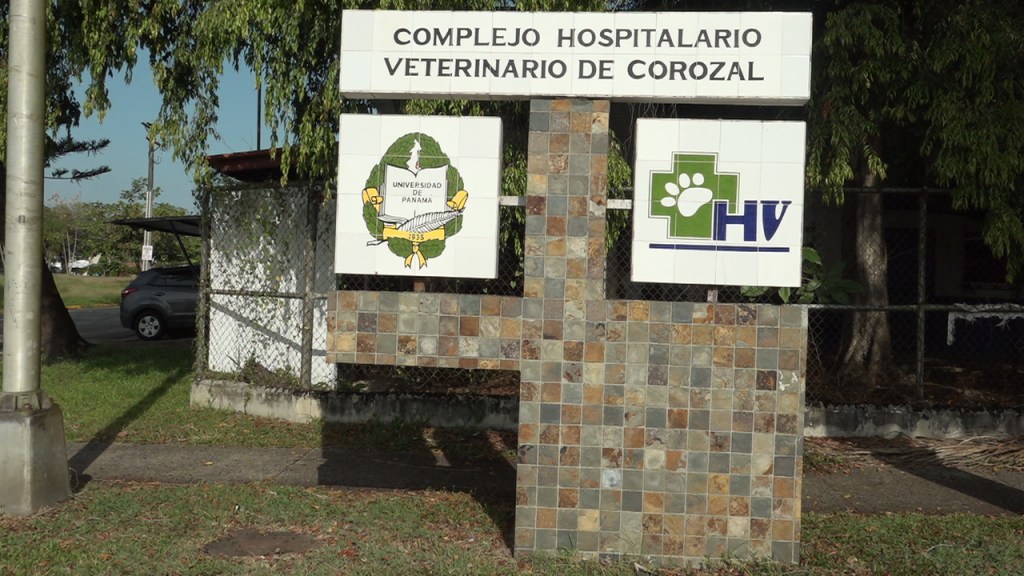 Opinión Experta sobre el Complejo Hospitalario Veterinario Corozal